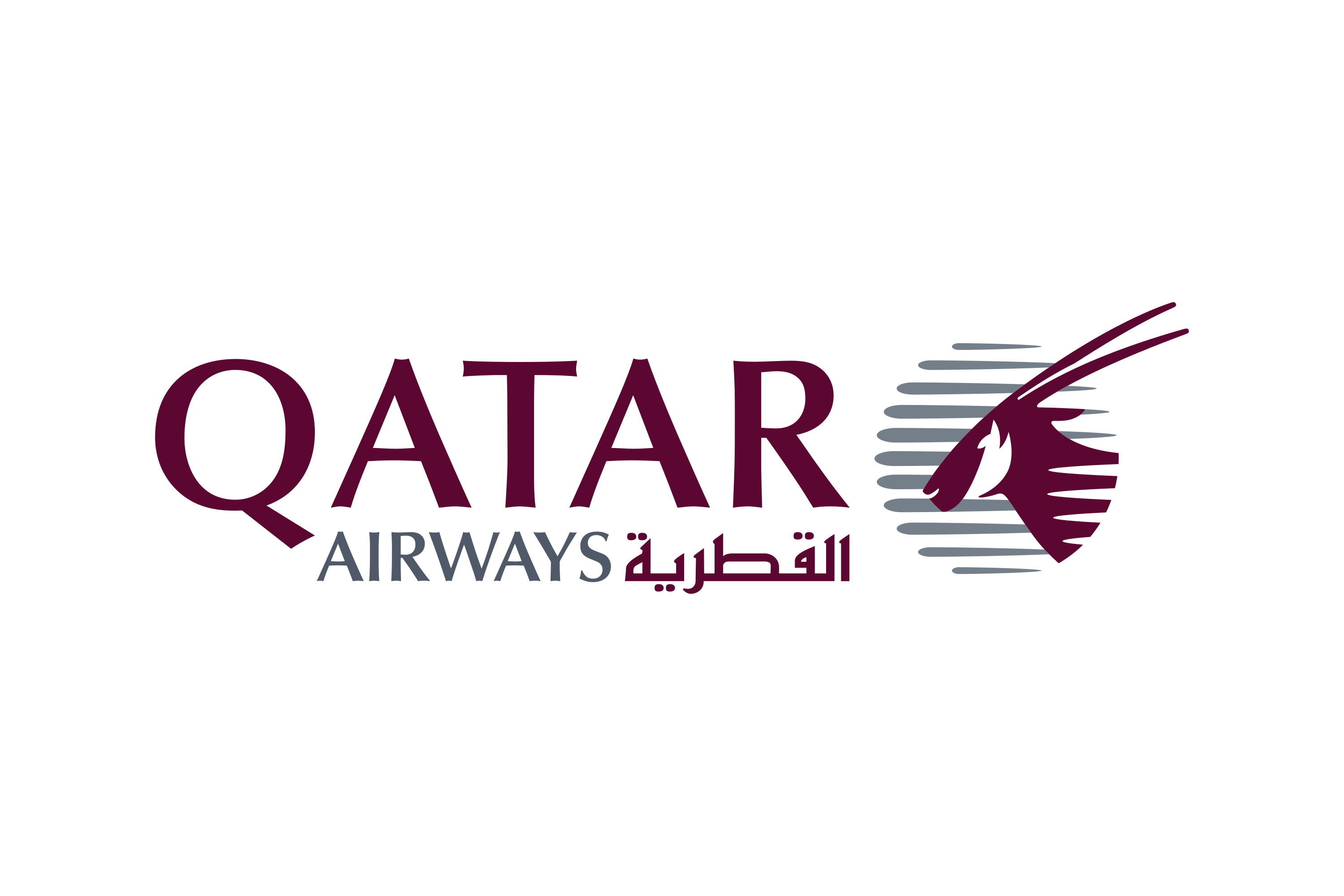 Airline logo