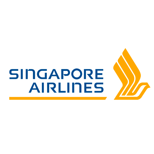 Airline logo