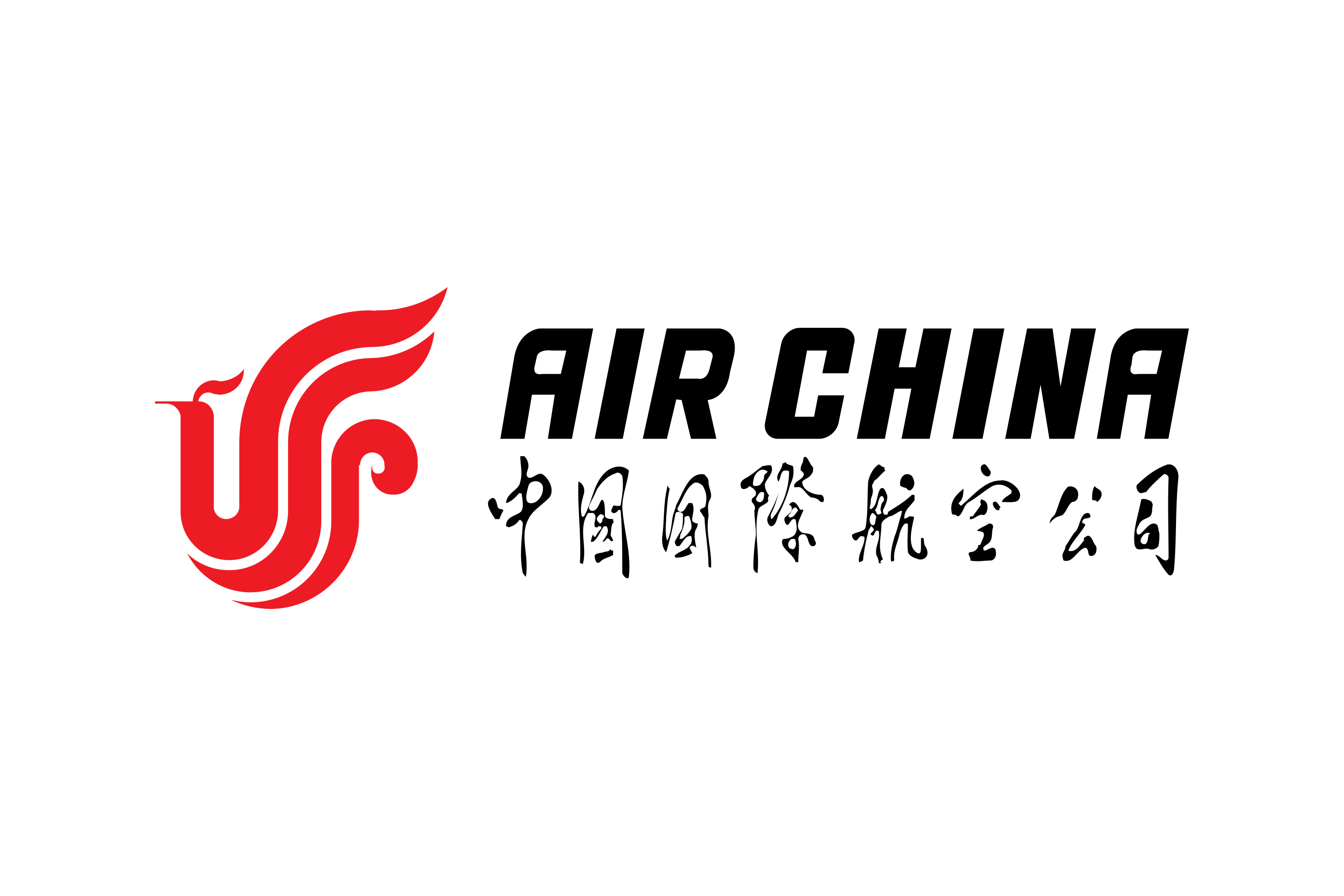 Airline logo