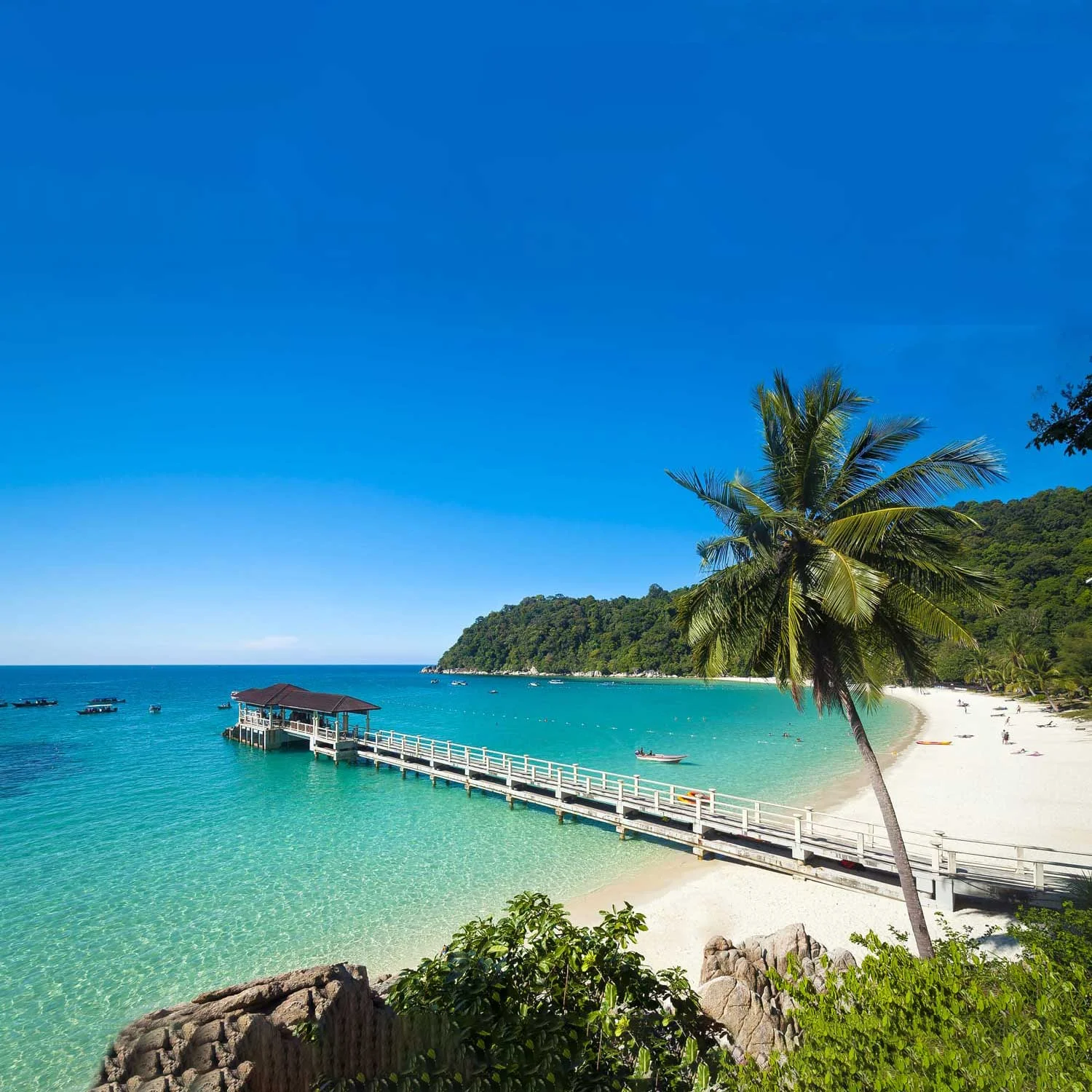 Malaysia Tourist Visa Multiple Entry