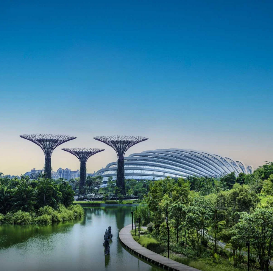 Singapore Tourist Visa Single Entry photo 2
